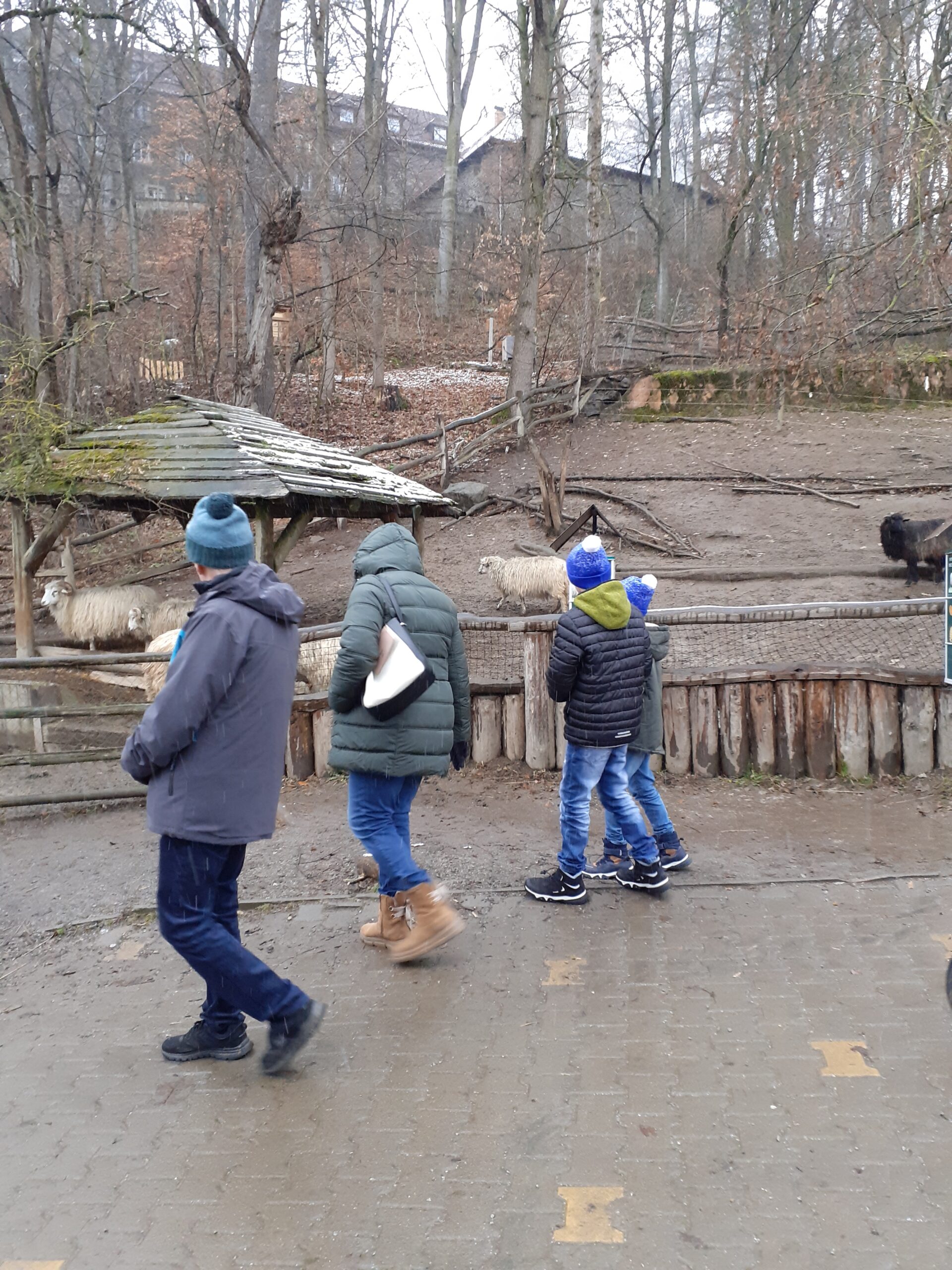 HODILI JSME DO ZOO KLIENTY KB