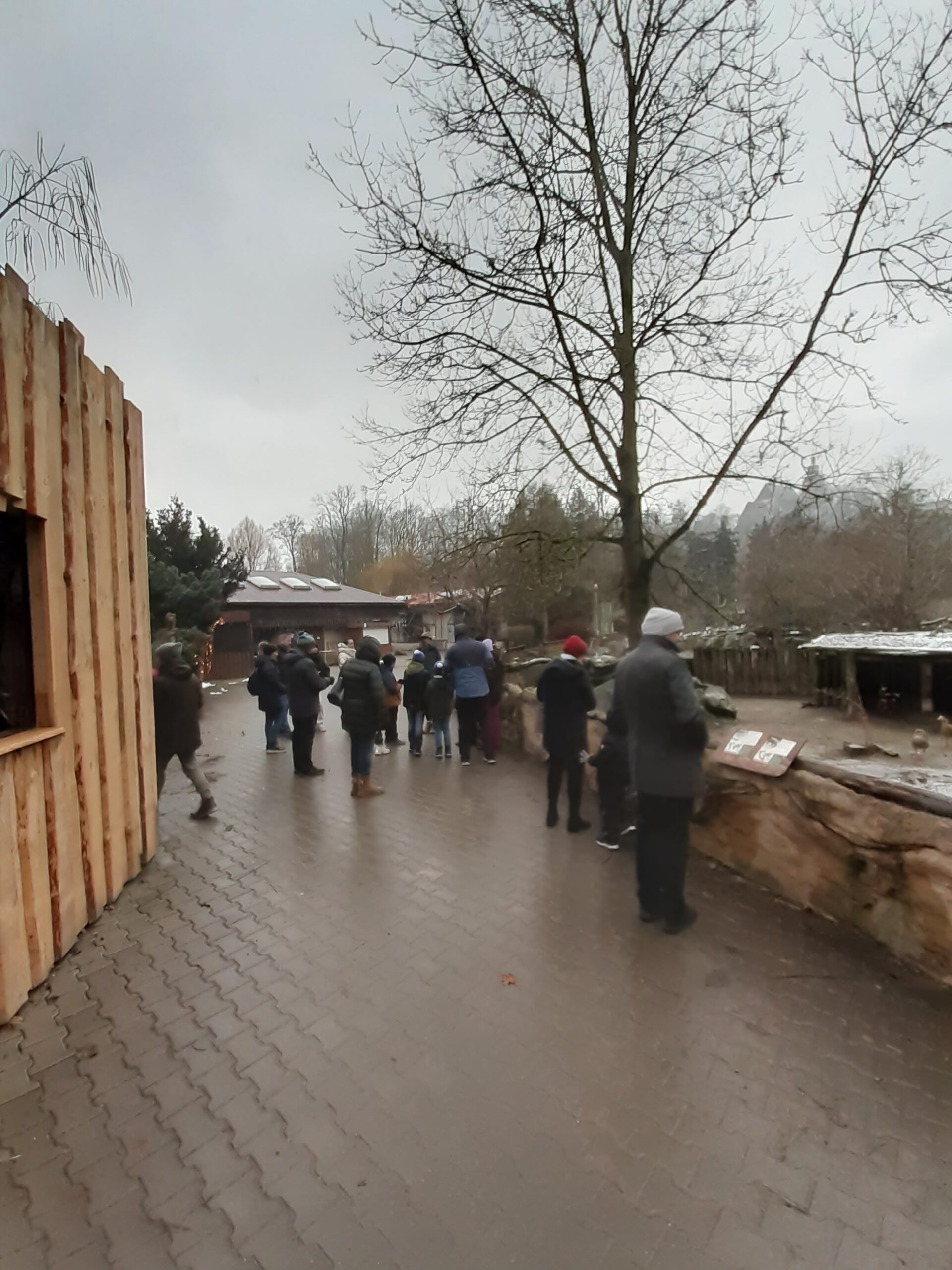 HODILI JSME DO ZOO KLIENTY KB