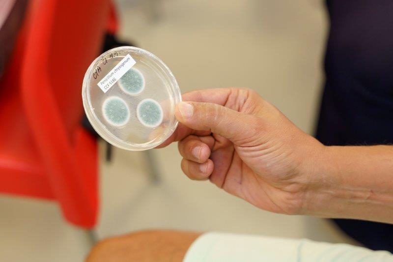 TK VEKRA Baumit Bydlete zdravě 15. 9. 2020 5 1