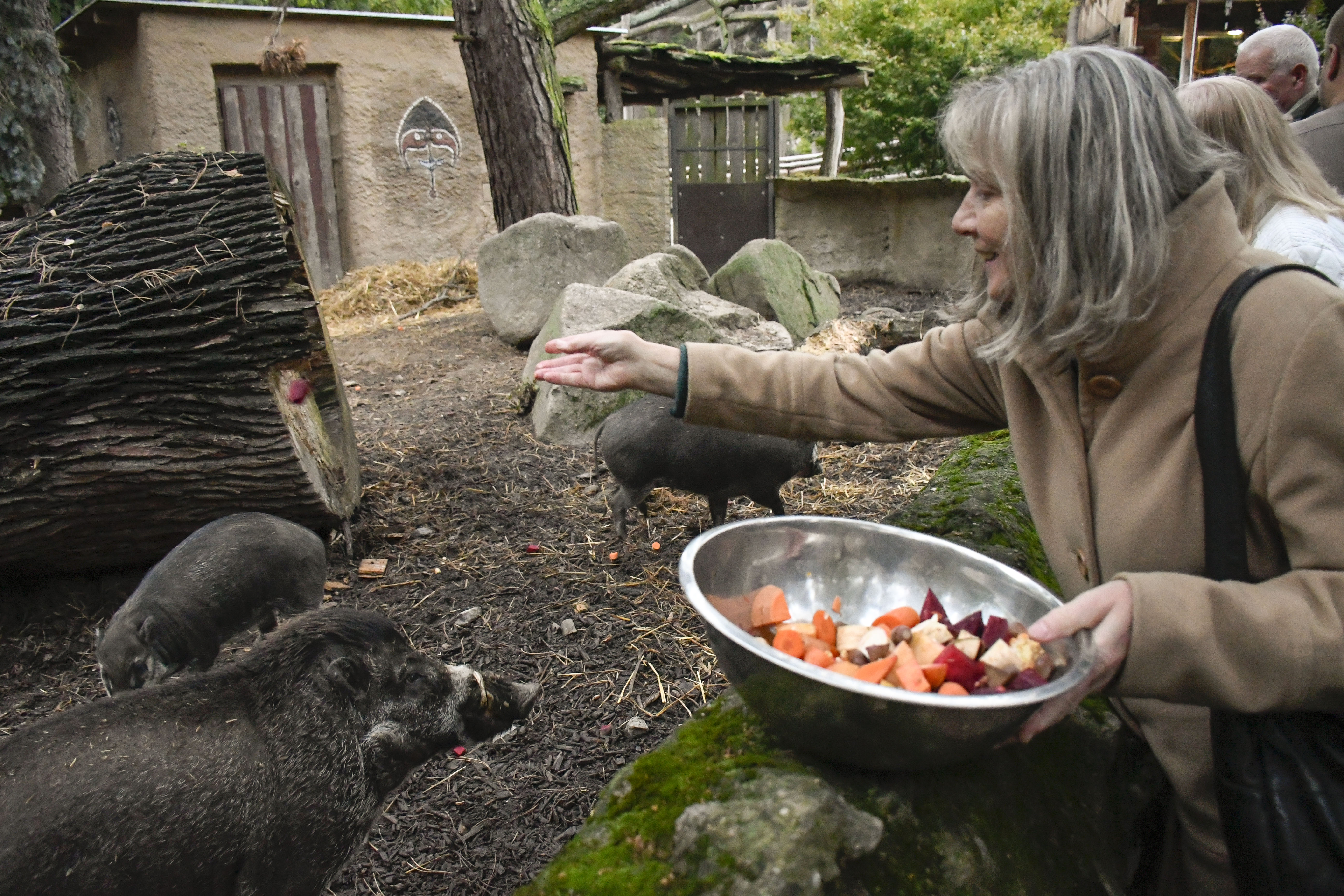 6 Predstaveni Zoo pro OP 78 zdroj Zoo Jihlava