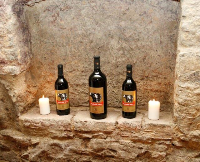 MEDVĚDÍ KREV SE VRACÍ… ANEB TRADICE S FIRMOU PEMAP