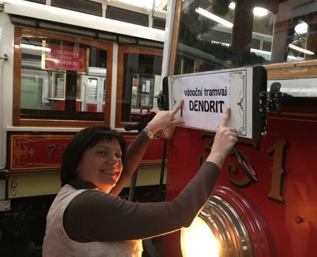 VÁNOČNÍ TRAMVAJ DENDRIT 2016