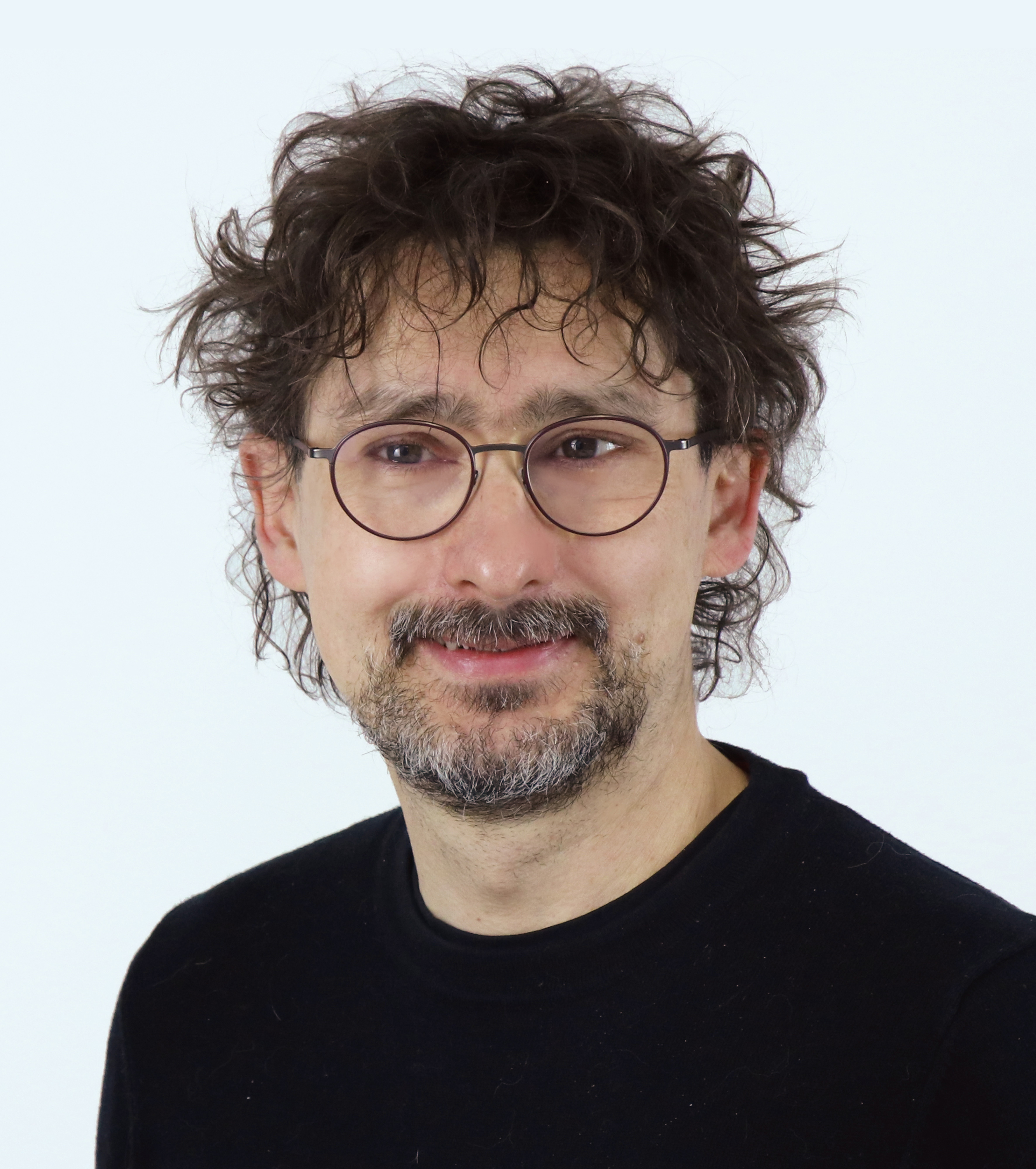 Ing. Aleš Rychetský